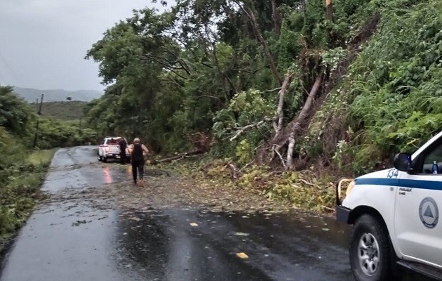 La tormenta dejó sin el servicio de energía eléctrica y comunicaciones a varias comunidades. Foto: Thays Domínguez