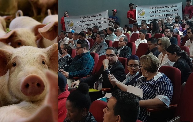 Representantes de Anapor y Anavip expresaron sus preocupaciones este miércoles en la Asamblea Nacional. Foto: Víctor Arosemena