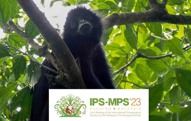 La conservación de primates plantea importantes desafíos. Foto: Cortesía/FCPP