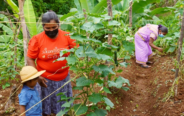 Dirigente recalca que en las comarcas hay oportunidades para emprender, solo es cuestión de atreverse. Foto: Cortesía/FAO