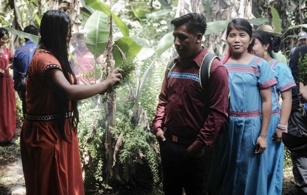 Cerca de 3,200 indígenas ngöbe-buglé viven en unas 10 comunidades del cantón de Coto Brus, provincia de Puntarenas, en el sur de Costa Rica. Foto: EFE