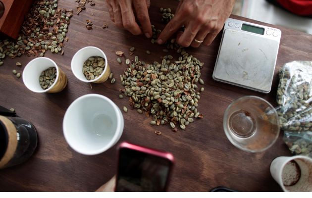 Panamanian luxury coffee Geisha breaks a new world record