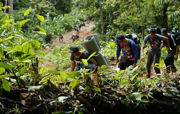 Más de 300,000 migrantes han atravesado este año el Tapón del Darién. Foto: EFE