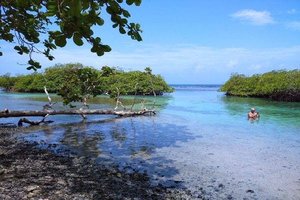 Tanta belleza debe ser compartida con toda la familia, así pasar un buen rato en contacto con la belleza natural de Portobelo y sus poblaciones circundantes. FOTO/DIOMEDES SÁNCHEZ