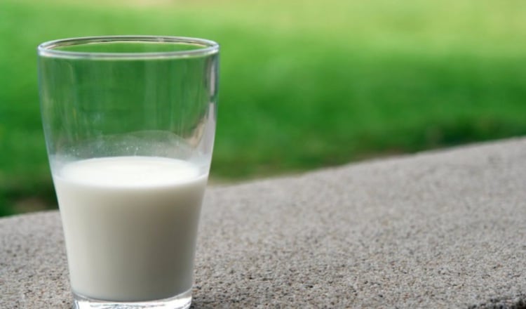 Dairy products can prevent cardiovascular diseases