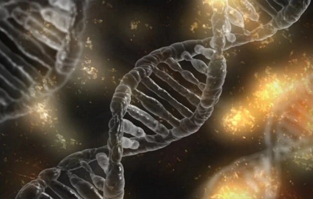 La terapia génica ha mostrado un crecimiento importante con la aprobación a nivel mundial de cerca de 20  productos basados en esta rama. Foto: Pixabay