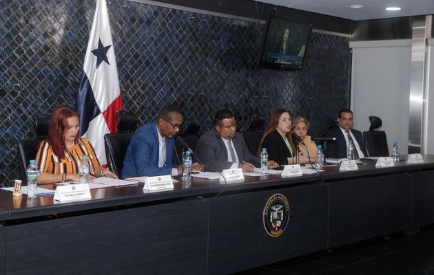 Comisión de Gobierno, Justicia y Asuntos Constitucionales de la Asamblea Nacional. Foto: Cortesía