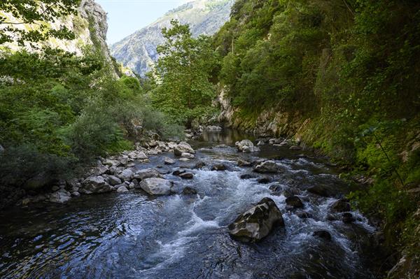 Río Deva, Lebeña, España. EFE