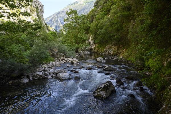 Río Deva, Lebeña, España. EFE