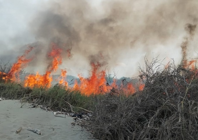 Se desconoce cómo inició este incendio que consumió el herbazal a orilla de las playas. Foto: Thays Domínguez