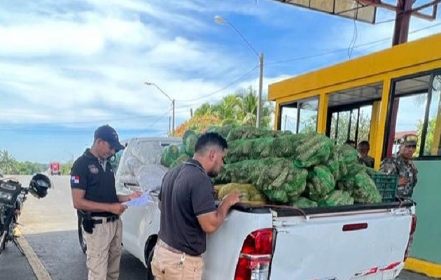 MIDA y Aduanas intensifican lucha para frenar el contrabando  agrícola. Foto: Cortesía/Mida