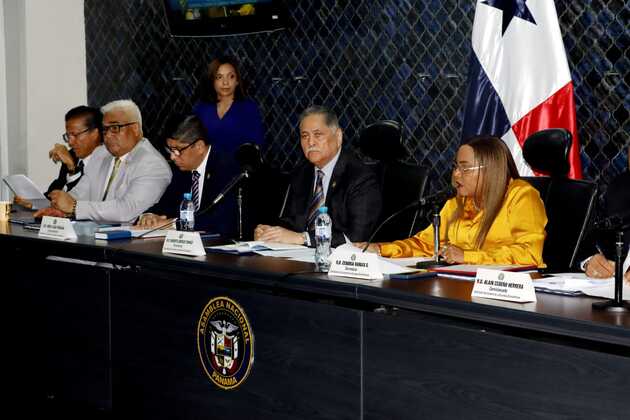 Comisión de Comercio  pide al órgano Ejecutivo considerar sugerencias. Foto: Víctor Arosemena