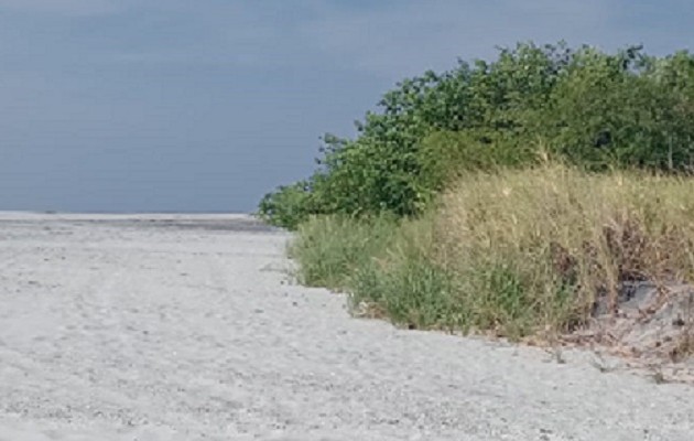 No se oponen al desarrollo turístico, sino a la destrucción del manglar. Foto: Eric A. Montenegro No se oponen al desarrollo turístico, sino a la destrucción del manglar. Foto: Eric A. Montenegro