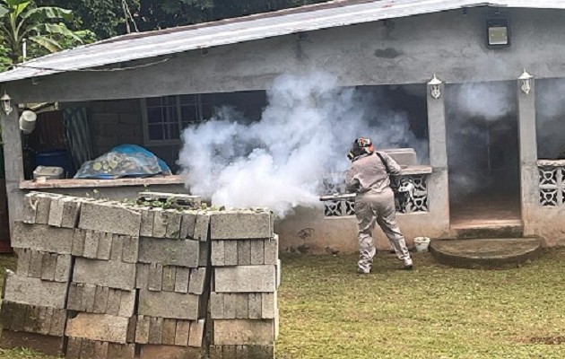 El Minsa insta a contribuir con la eliminación de los criaderos de mosquitos. Foto: Diomedes Sánchez 