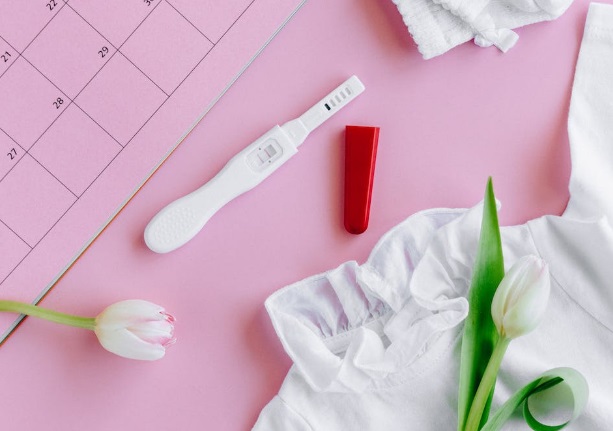 High cholesterol and its effect on fertility