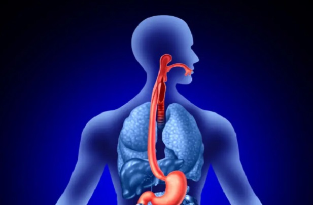 Esophageal cancer: ‘Tips’ for preventing this disease?