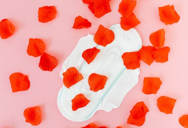 Causes of irregularities in the menstrual cycle Causes of irregularities in the menstrual cycle
