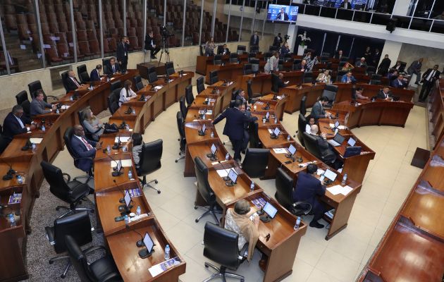 Pleno de la Asamblea Nacional. Foto: Cortesía