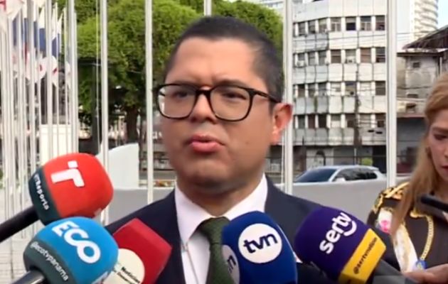 Tejada asegura que el proyecto de Ley establece la normativa legal suficiente para generar la consulta popular. Foto: Cortesía