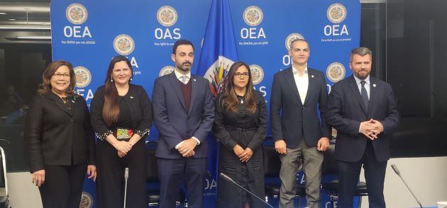 Del 31 de octubre al 1 de noviembre se celebró la LV Reunión del Gelavex de la OEA, en la ciudad de Washington, DC., de los Estados Unidos de América.