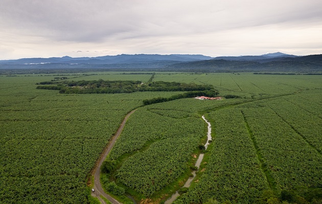 La contaminación por agroquímicos también es una preocupación latente en la zona. Foto: Cortesía/ MiAmbiente