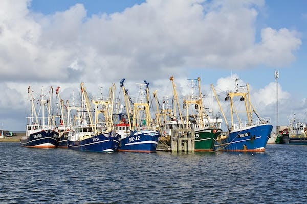 Trawling sparked controversy after it was allowed in the country