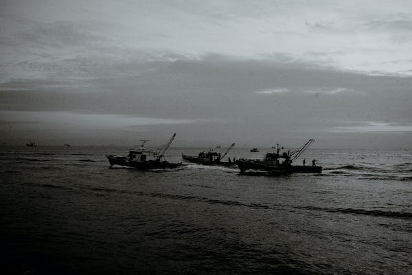 Trawling is limited to shrimp