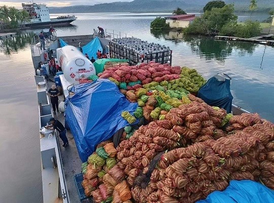 Los plátanos fueron cargados desde el puerto Almirante. Foto: Diomedes Sánchez