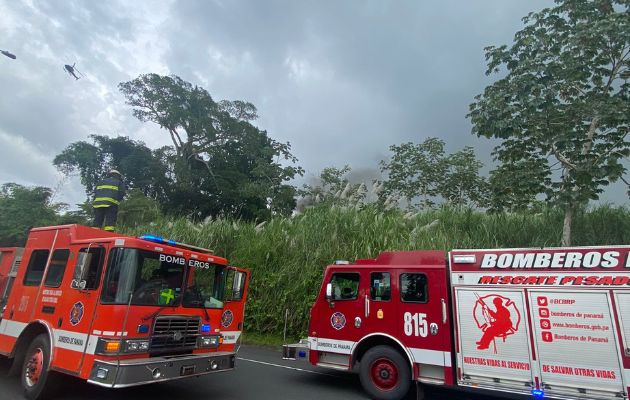 La aeronave CESSNA 402 con matrícula N76MD cayó en un área boscosa en el sector de Clayton. Foto: AAC