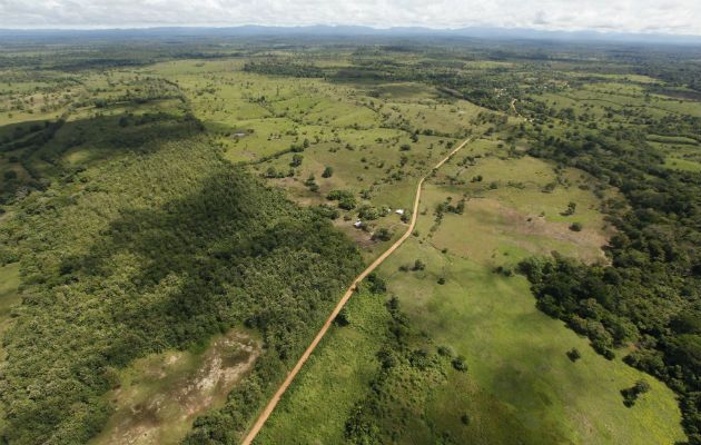  También se aclaró sobre la supuesta venta de tierra y titulación en Darién. Foto: Archivo