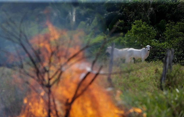 Las altas temperaturas afectan la salud de la población. Foto: EFE