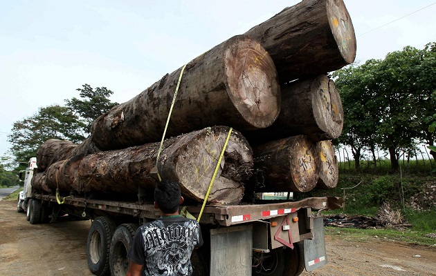 Un inspector revisa un camión que transporta madera en la provincia de Darién, Panamá. Foto: EFE