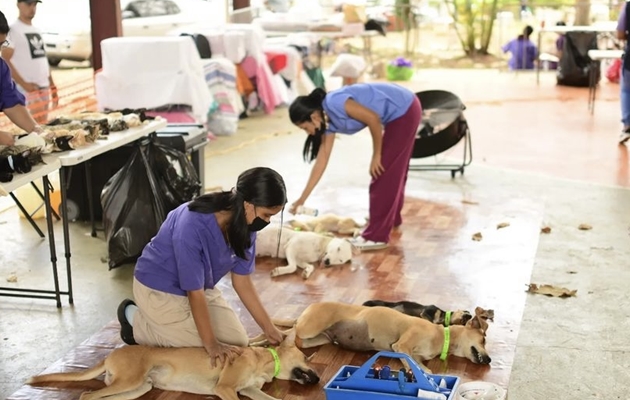 Se atenderá con cita previa. Foto / Spay Panamá. 