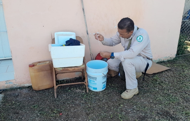 Las autoridades solicitaron a la población evitar la automedicación ante un contagio por dengue. Foto / Minsa. 