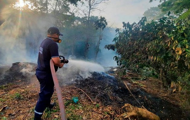 Los incendios de herbazales son la tercera emergencia más atendida por los bomberos. Foto: Cortesía/Bomberos 