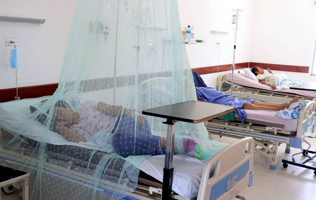 WHO raises the risk of a global spread of dengue fever to high