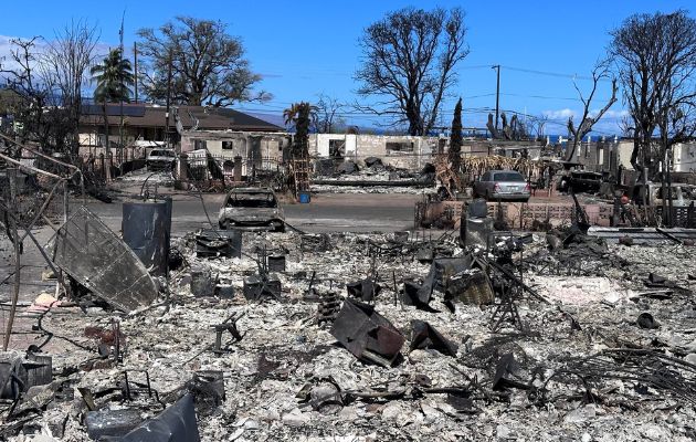 How much did the 20 worst climate disasters cost in 2023?