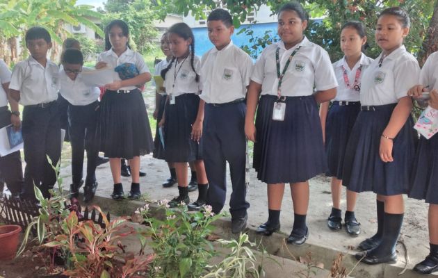 Investigación sobre el comportamiento de las hormigas del Centro Educativo Bilingüe Rafael Maduro G. de Chame y Senacyt. Foto: Cortesía Investigación sobre el comportamiento de las hormigas del Centro Educativo Bilingüe Rafael Maduro G. de Chame y Senacyt. Foto: Cortesía