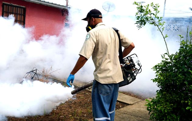 La fumigación solo se elimina al mosquito adulto. Foto: Archivo