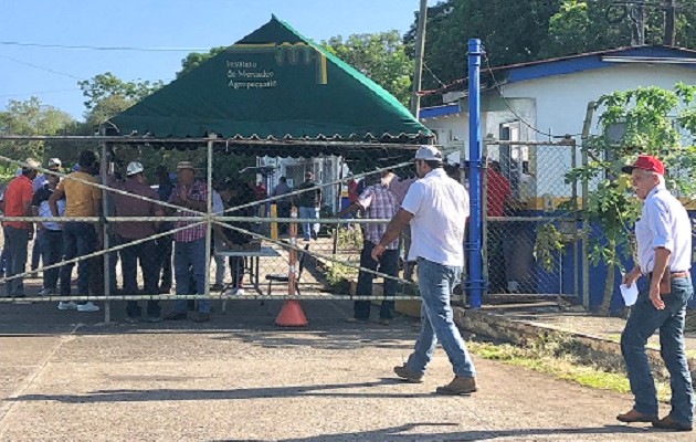 Los productores piden la realización de la reunión de cadena  agroalimentaria. Foto: Thays Domínguez 