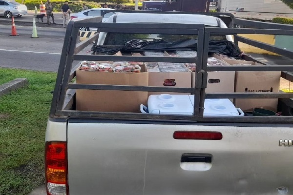 Una mujer fue detenida y puesta a órdenes de las autoridades competentes. Foto. Cortesía. Senafront