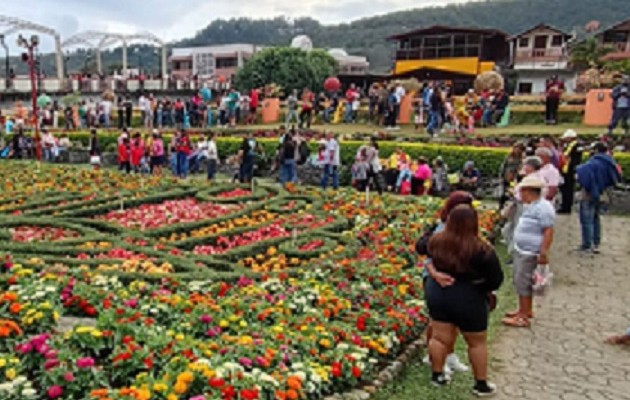Los jardines siguen siendo la mayor atracción de los visitantes. Foto: José Vásquez
