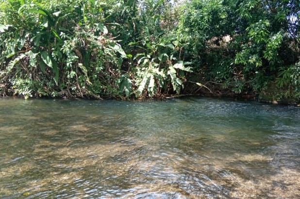 Carretera Nombre de Dios, Santa Isabel, Colón. Foto/MiAmbiente