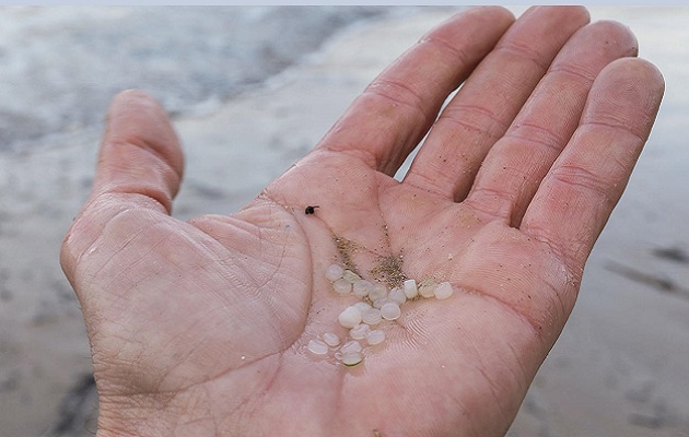 El torrente sanguíneo contiene partículas micro y nanoplásticas. Foto: EFE