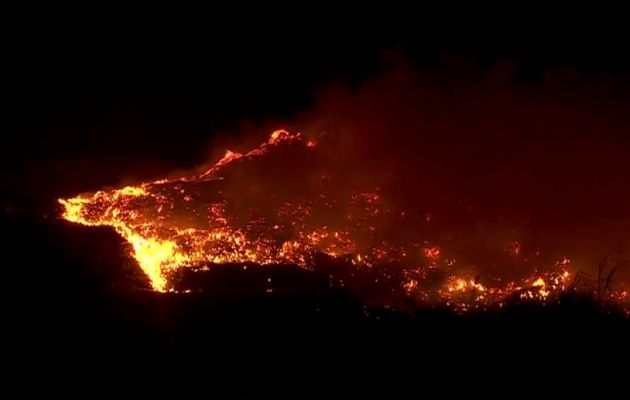 Incendio en Cerro Patacón. 