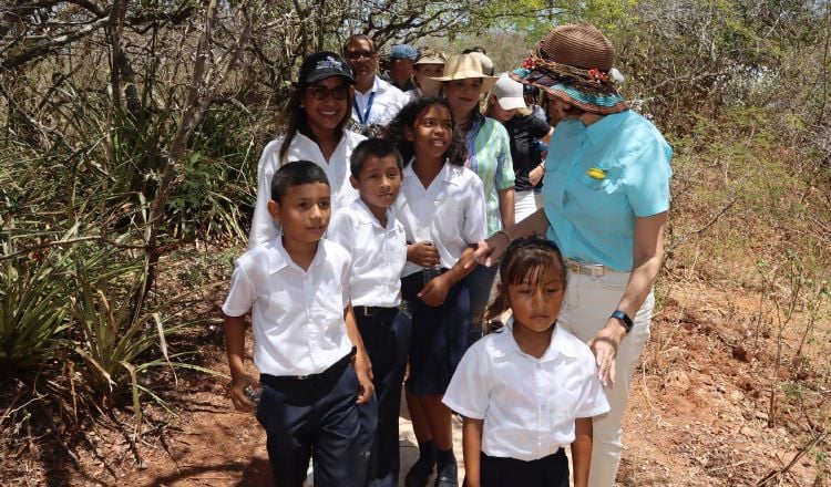 Senderismo, recorridos guiados, fotografía, observación de animales y plantas, son parte de las actividades propias sitio.