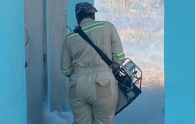 El Minsa ha reforzado los operativos de inspección y nebulización. Foto: Diomedes Sánchez, 