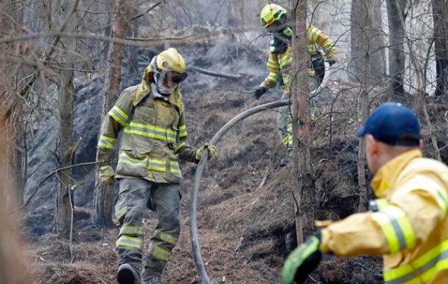 Bomberos trabajan en la extinción de un incendio en el cerro El Cable, en Bogotá. Foto: EFE