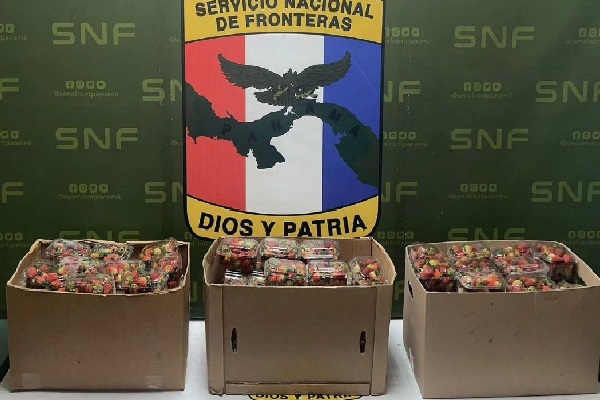 Las autoridades le hacen un llamado a la población para que no sea partícipe de este tipo de contrabandos de frutas con el fin de evitar acciones que atenten con la salud y la economía. Foto, Cortesía. Senafront Las autoridades le hacen un llamado a la población para que no sea partícipe de este tipo de contrabandos de frutas con el fin de evitar acciones que atenten con la salud y la economía. Foto, Cortesía. Senafront