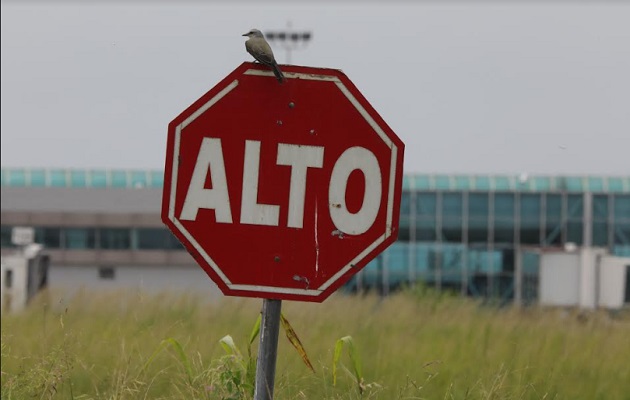 Personal de Control de Fauna del aeropuerto internacional de Tocumen mantiene arduo monitoreo. Foto: Cortesía